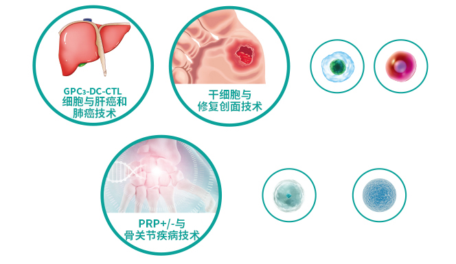 細胞技術(shù)研發(fā)